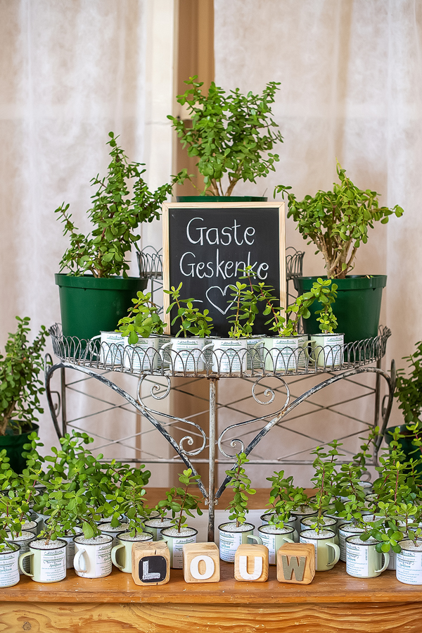 North Brisbane Wedding Photographer | Brisbane Wedding Photographer | Sunshine Coast Wedding Photographer