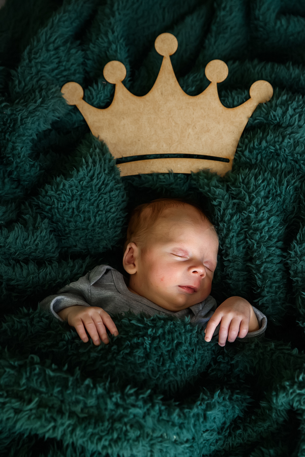 North Brisbane Newborn Photographer | Brisbane Newborn Photographer | Sunshine Coast Newborn Photographer