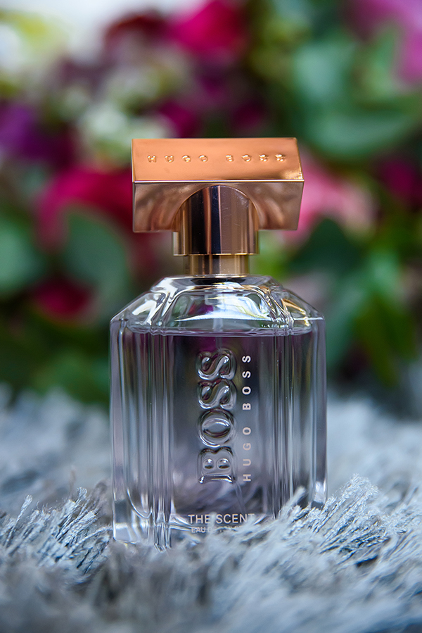 North Brisbane Wedding Photographer | Brisbane Wedding Photographer | Sunshine Coast Wedding Photographer