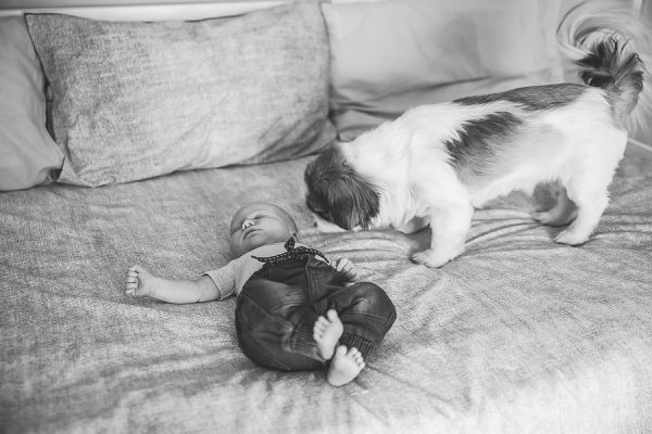 North Brisbane Newborn Photographer | Brisbane Newborn Photographer | Sunshine Coast Newborn Photographer