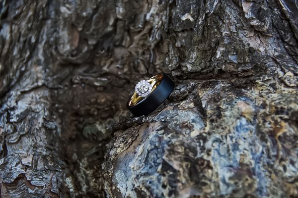 North Brisbane Wedding Photographer | Brisbane Wedding Photographer | Sunshine Coast Wedding Photographer